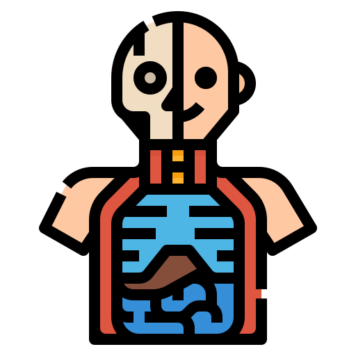 anatomía icono gratis