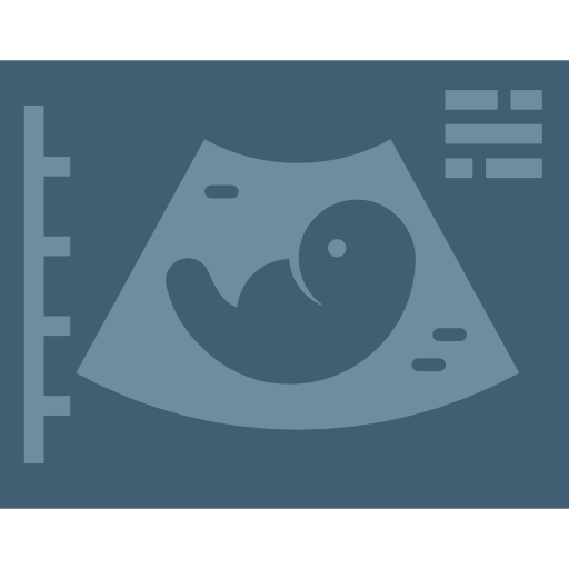 Ultrasound Special Flat icon