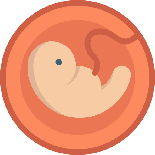 Pregnancy free icon Pregnancy free icon
