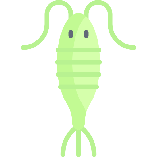 Free Plankton net Icons, Symbols & Images
