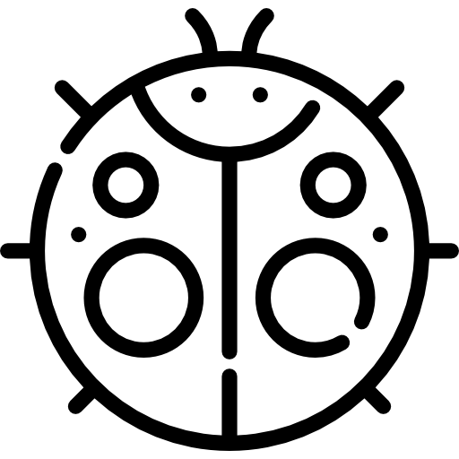 Ladybug Special Lineal Icon