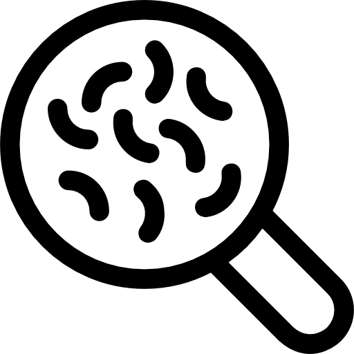 Magnifying glass free icon Magnifying glass free icon