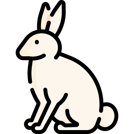 Hare Special Lineal color icon