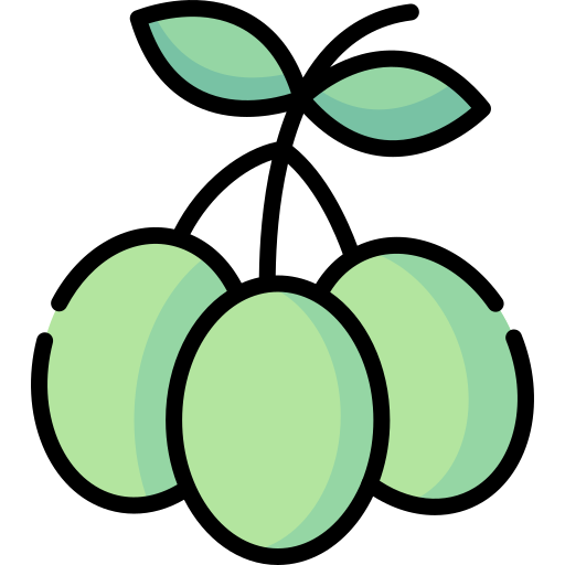 aceituna icono gratis