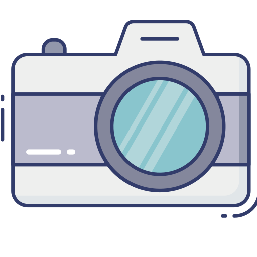 Camera Dinosoft Lineal Color icon