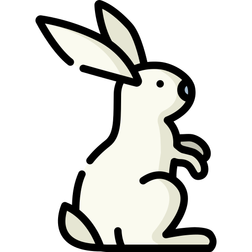 Hare Special Lineal color icon