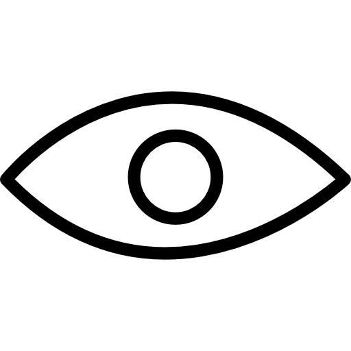 Eye of a human or an animal icon