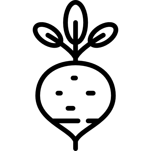 Radish Special Lineal icon