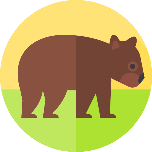 Wombat Free Animals Icons