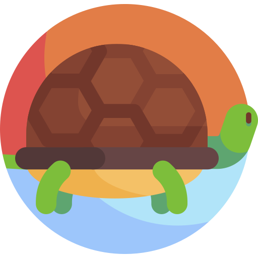 tortuga icono gratis