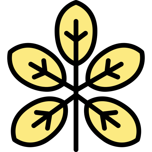Walnut free icon Walnut free icon