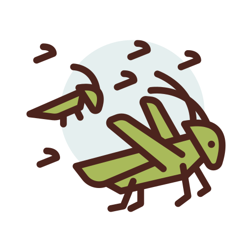 Locust free icon Locust free icon