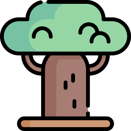 Baobab Special Lineal color icon