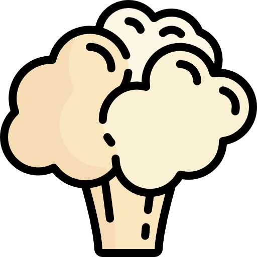 Cauliflower - Free food icons