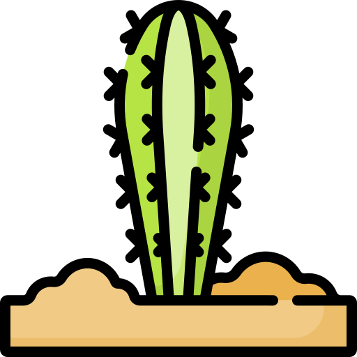 Cactus Special Lineal color icon