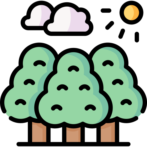 Forest Special Lineal color icon