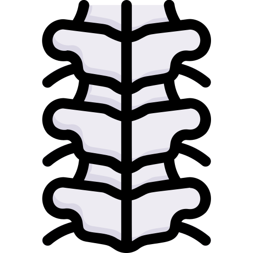 columna vertebral icono gratis