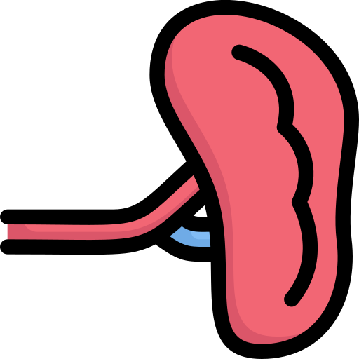 Spleen Generic Outline Color icon