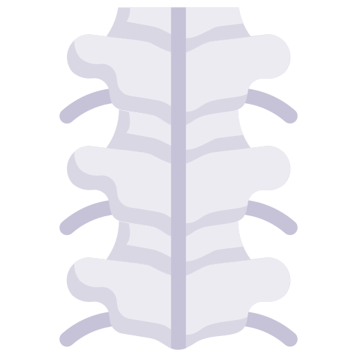 columna vertebral icono gratis