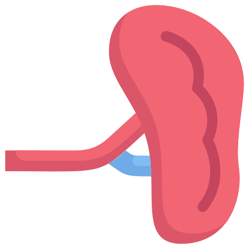 Spleen Generic Flat icon