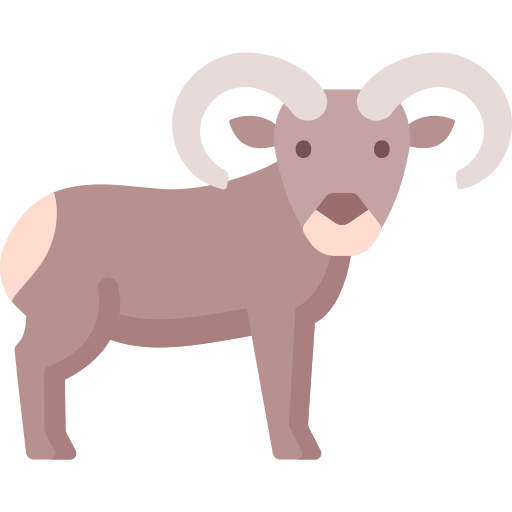 Bighorn sheep Special Flat icon