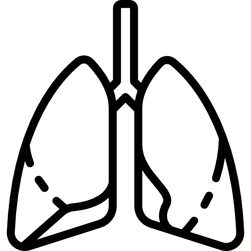 Lungs Special Lineal icon