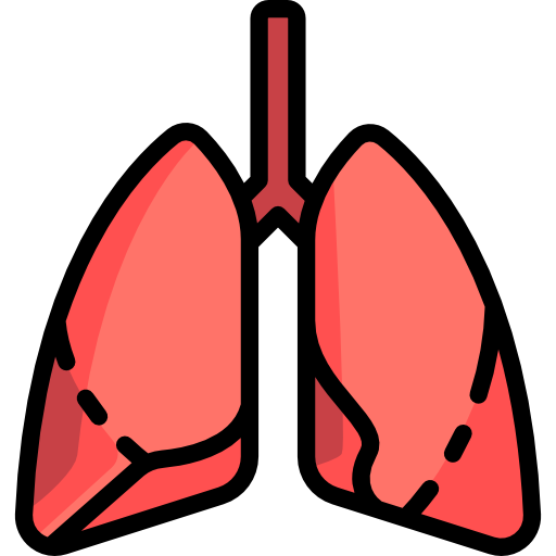 Lungs Special Lineal color icon