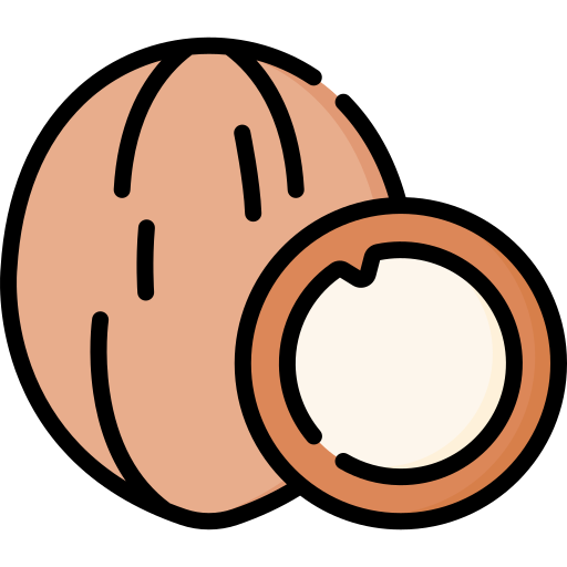 Coconut Special Lineal color icon