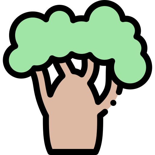 Baobab free icon