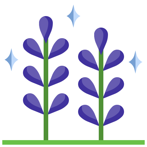 lavanda icono gratis