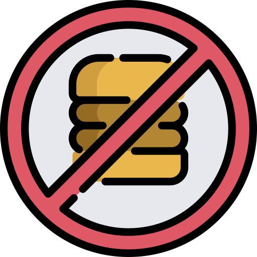 Burger Special Lineal color icon