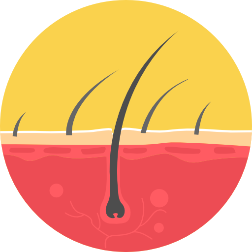 haar kostenlos Icon haar kostenlos Icon