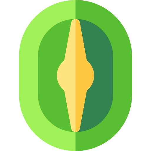 Shield Basic Rounded Flat icon