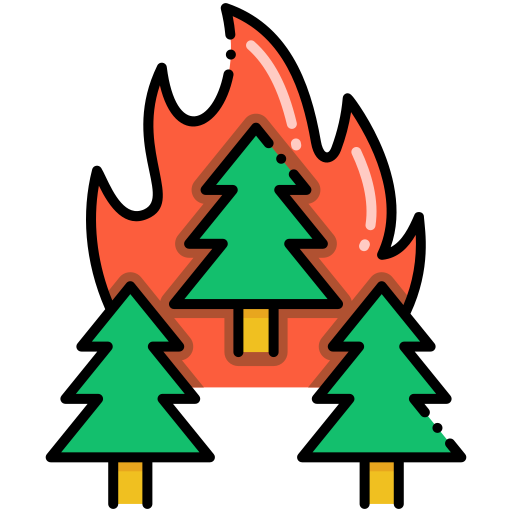 Wildfire Flaticons Lineal Color icon