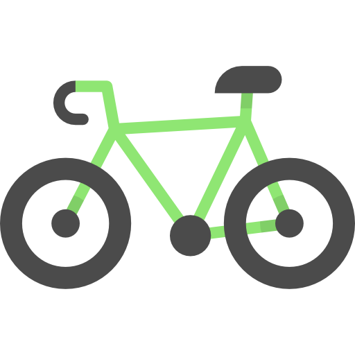 Bicycle Special Flat Icon