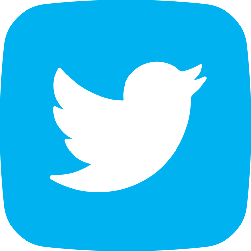 twitter login icon