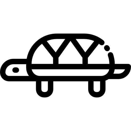 Turtle Detailed Rounded Lineal icon