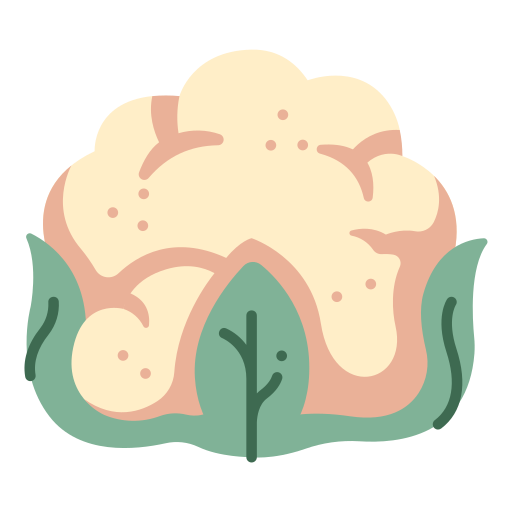 Cauliflower free icon Cauliflower free icon