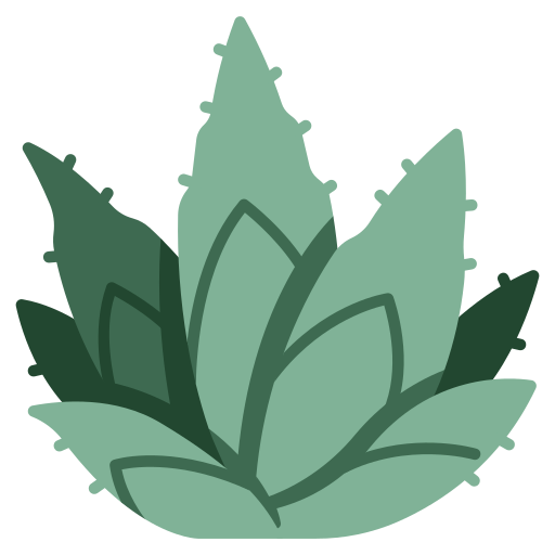 agave plant clipart