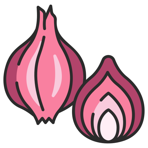 Premium Vector  Illustrator of shallots