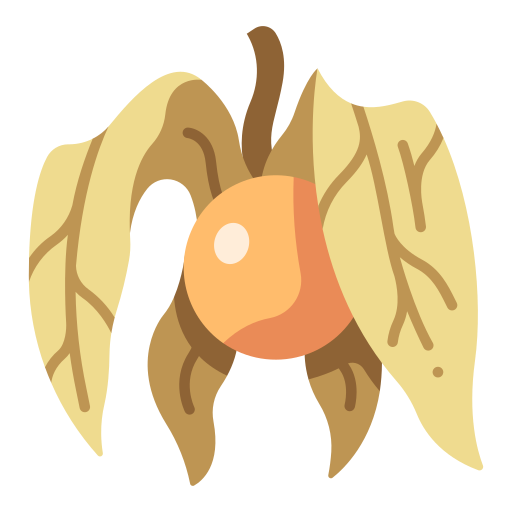 Physalis free icon Physalis free icon