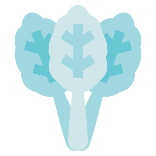 Spinach free icon
