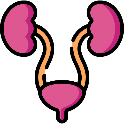 Urology free icon Urology free icon
