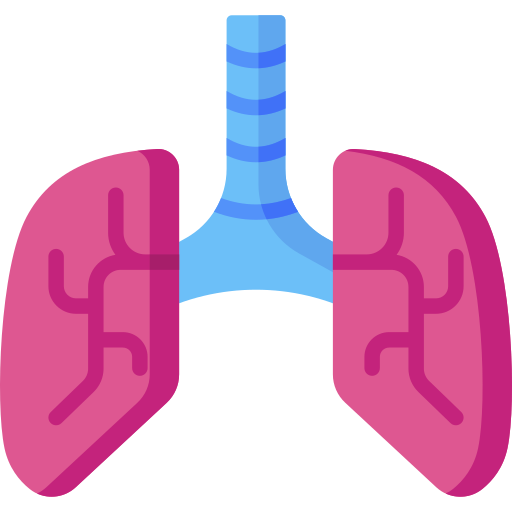 Lungs Special Flat icon