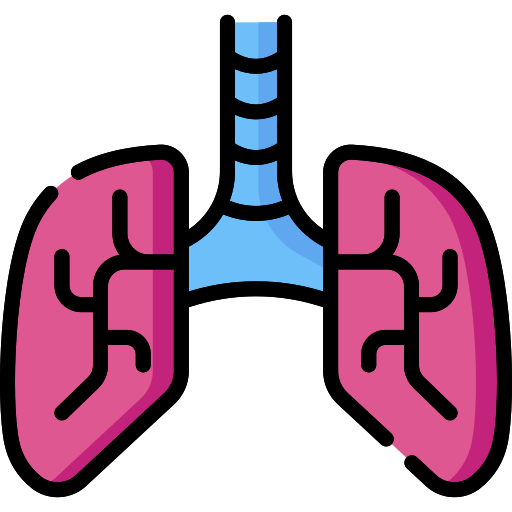 Lungs Special Lineal color icon