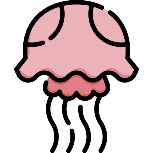 Jellyfish Special Lineal color icon