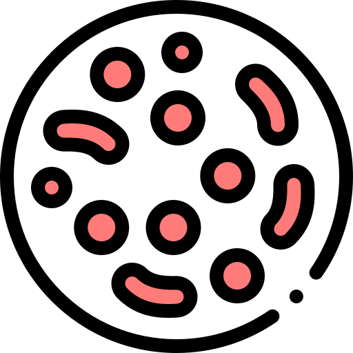 Erythrocytes Detailed Rounded Lineal color icon