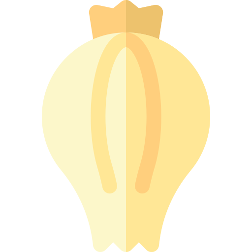 Onion free icon