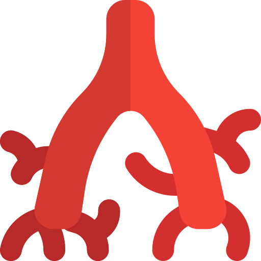 Bronchus free icon