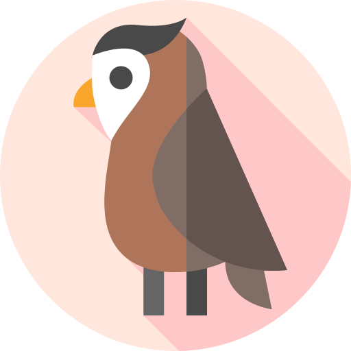 올빼미 무료 아이콘